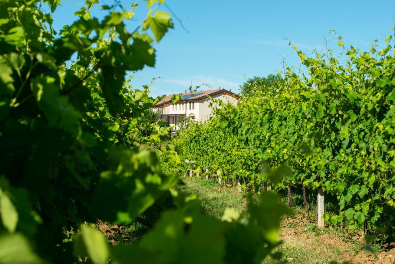 Villa Relais La Dolce Vite San Vendemiano Exterior foto